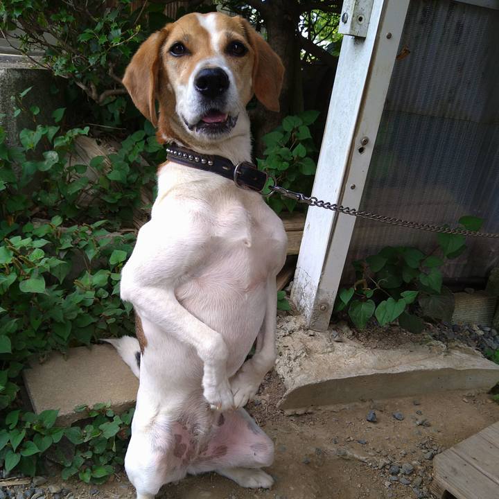 Ba48c827 6627 44ad b7be a4deaf8396ef 1656397047978