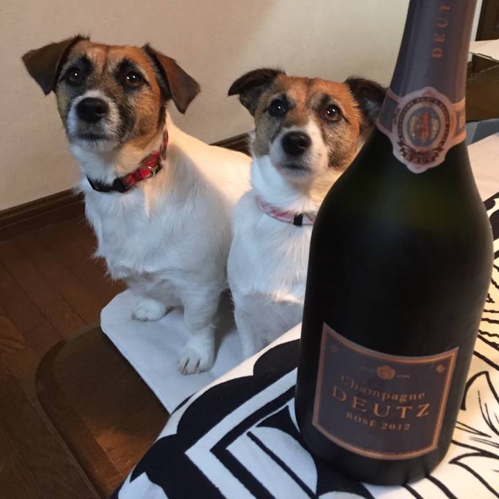 Ba48f452 fded 457c b449 a684f8a50f44 1545562707977