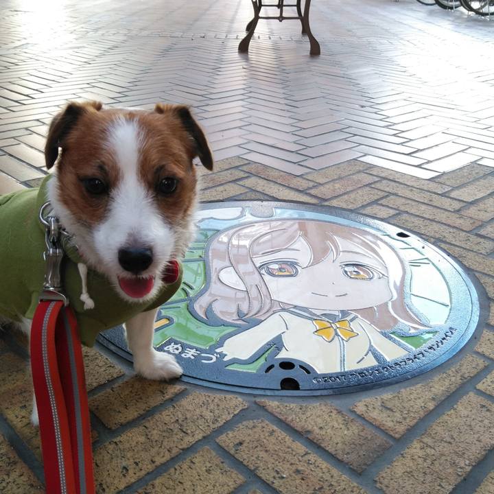 Ba490081 968c 48b2 9890 5b486b271f64 1541807405137