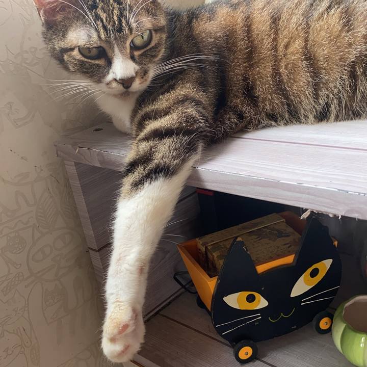 Ba4901ec 8f90 4913 9d8f d0b4146897e2 1596844478091