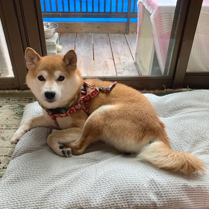 Ba4968e7 d4e5 4574 827e 25b28d76cbbf 1594373278957