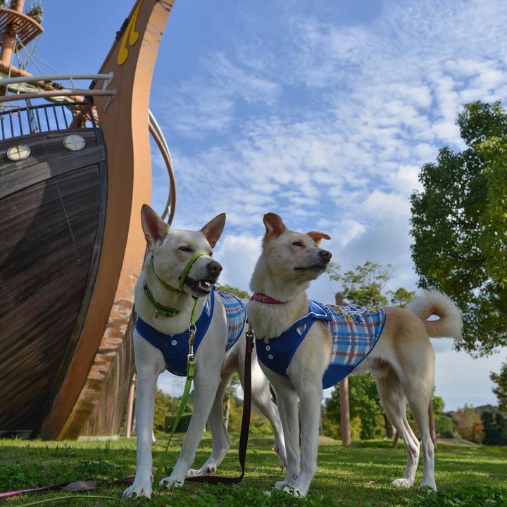 Ba4969a5 e9c2 4b90 88e3 cbfac80cb87b 1509166047215