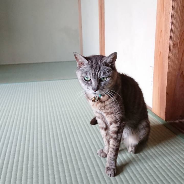 Ba498649 adef 42db bc59 5587f260bbdb 1565254022154