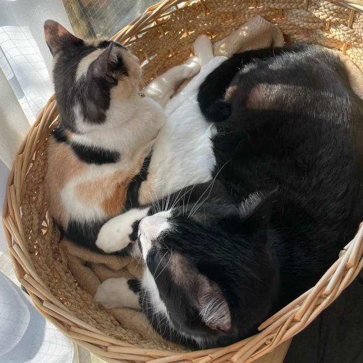 Ba49882e 4f09 4366 ae21 1a2f71a66db7 1740614922824