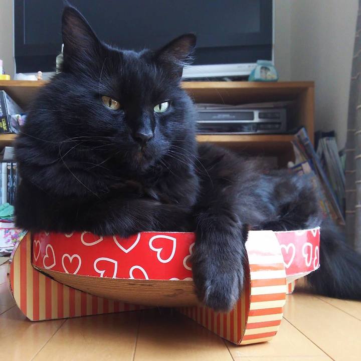 Ba498cfc 7fb8 48a0 b7a4 4580e1e6f9c1 1525052225621