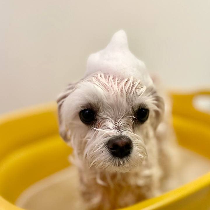 Ba499086 dc1f 40e7 903b 5e04a38367ab 1765639116329