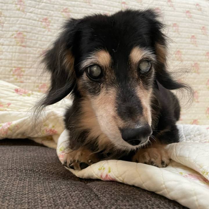 Ba499792 1074 4995 92b0 a91bd6d3a3b2 1751336136584