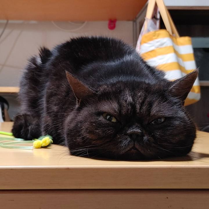 Ba49a20a 6efb 4224 892e 163738903aaf 1729599216160