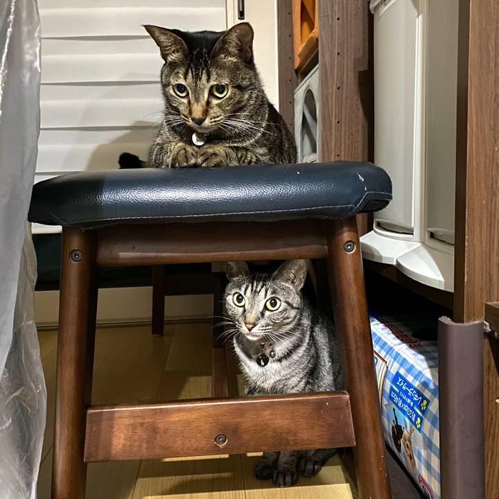 Ba49b7cd 7596 4b68 b26b 14084f833226 1630934472965