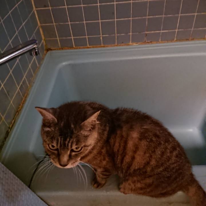 Ba49e7d4 c11b 4326 9a0a f7dea7685019 1569230274833