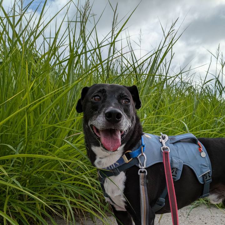 Ba4a0134 629f 47c0 8435 5d87b6eaaa88 1724369535889