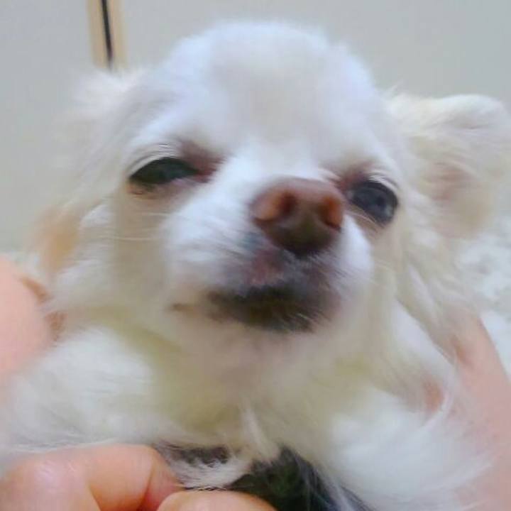 Ba4a0250 9ed3 40b5 849f 364731793669 1524487421243