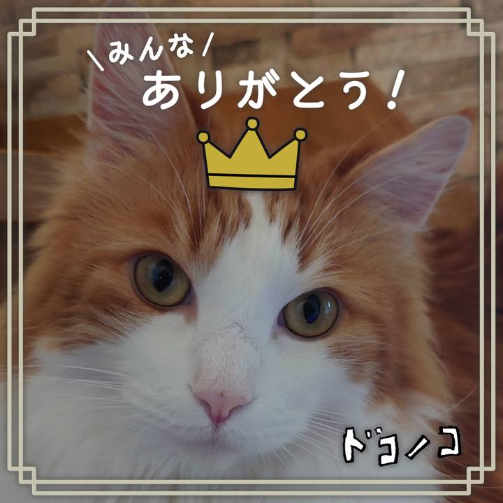 Ba4a03dd 7bb4 4451 931b 13ca84740d1e 1622871323379