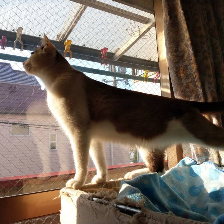 Ba4a161d 8993 4837 8e22 1f72c719889d 1552607900991