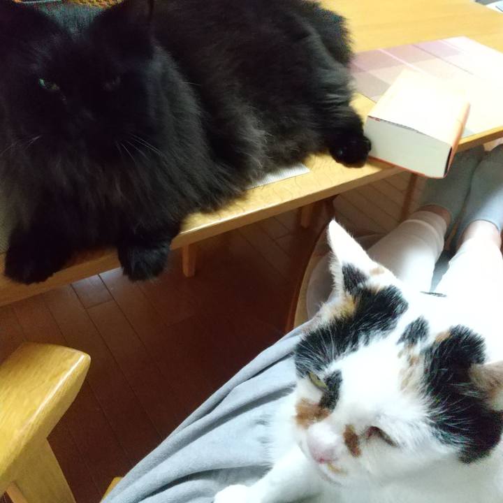 Ba4a2a3c 5755 4aee aa9b 37337130ad14 1695626002801