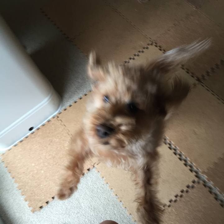 Ba4a51f4 be18 439e 849c d13e12aeeb39 1522559092849