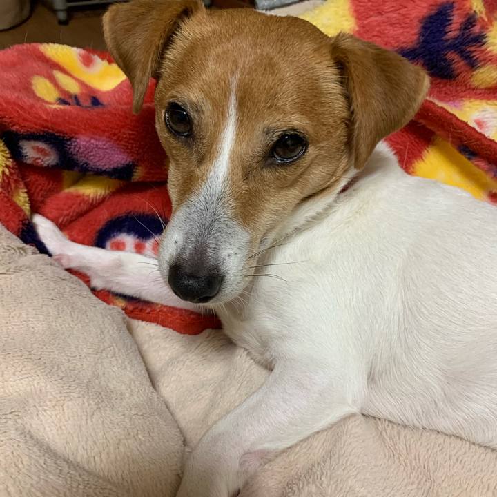 Ba4a8149 9585 4b91 bcde 1611ada9308c 1606303987991