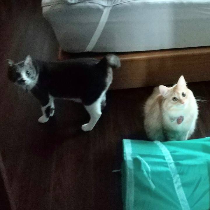 Ba4aa383 bb47 442f b3ae accbb644a5ee 1635843647349