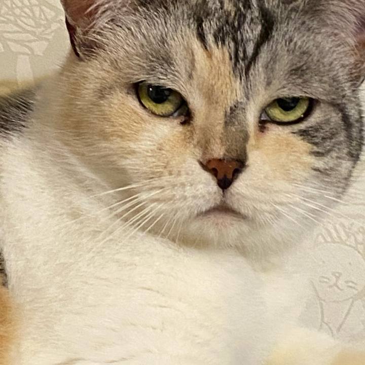 Ba4ab8f5 2106 457d bddd 16e7cb2feac4 1624711126292