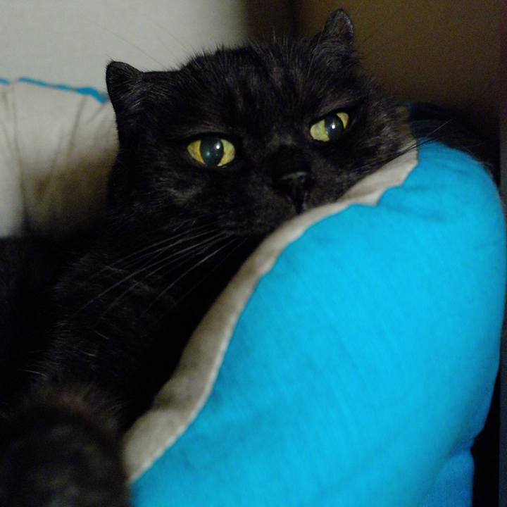 Ba4acf05 661a 44f6 a5e6 3962148b783a 1631706973246