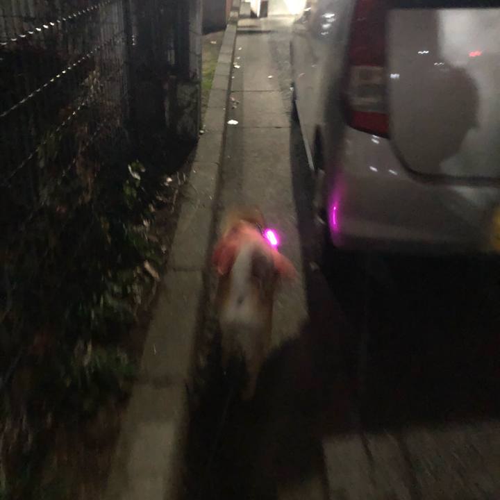 Ba4ad7b1 e67f 4516 ba0f 95238272f7d8 1608635219477