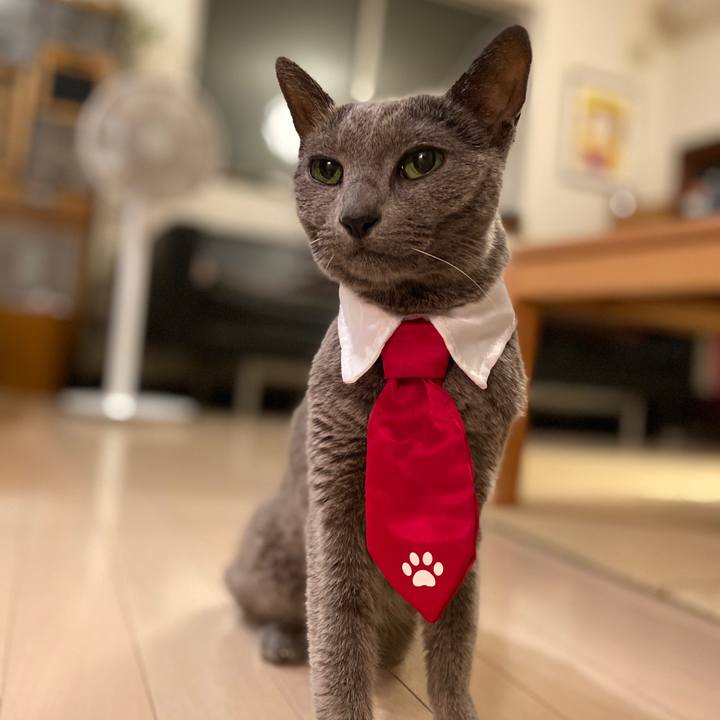 Ba4b0bab 8340 4249 afb2 5a7eac9c3a32 1600674251696