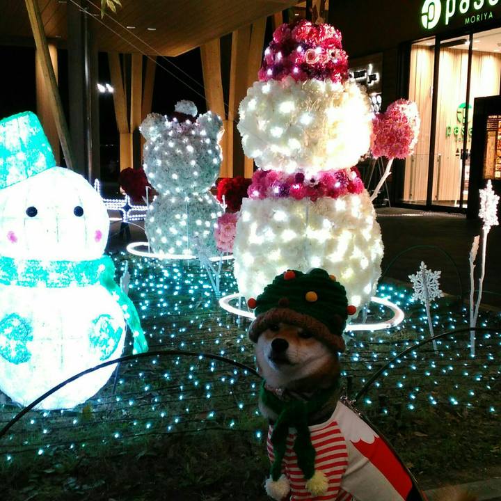 Ba4b1139 77ee 474b 8165 9d686700ebde 1513595749480