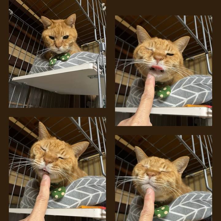 Ba4b1b63 af7b 4d99 8538 d8867209ca88 1773113259958