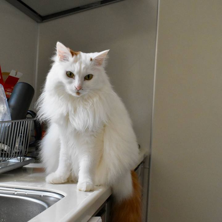 Ba4b2d0a f289 452c 920e 5e4f609f2743 1772848775036