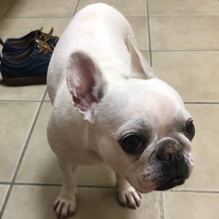 Ba4b2f1c 2a42 4a58 b0cc 6117f5918496 1555814053969