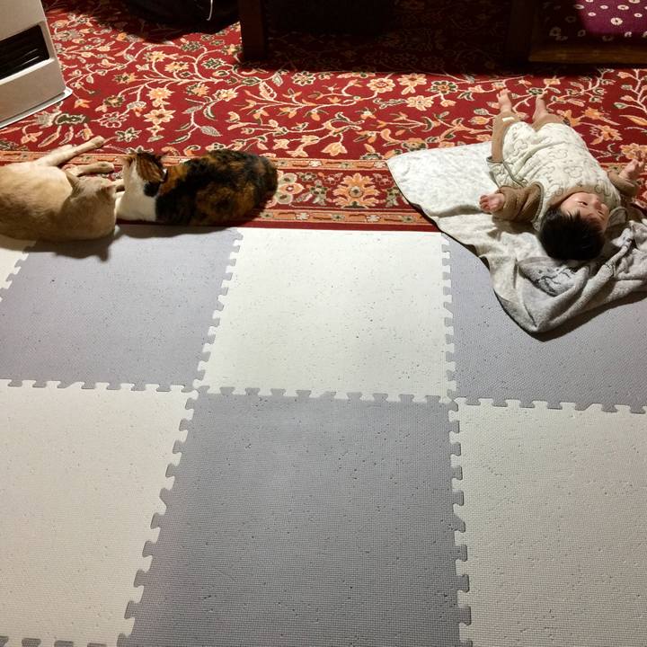 Ba4b35e9 9732 4443 a3cb 46a4c74ca381 1673335607852