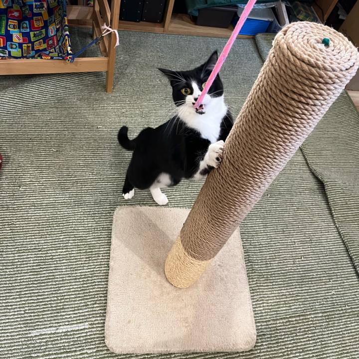 Ba4b4ea2 e6df 4a4e a597 885bfbe38ea8 1735387763063