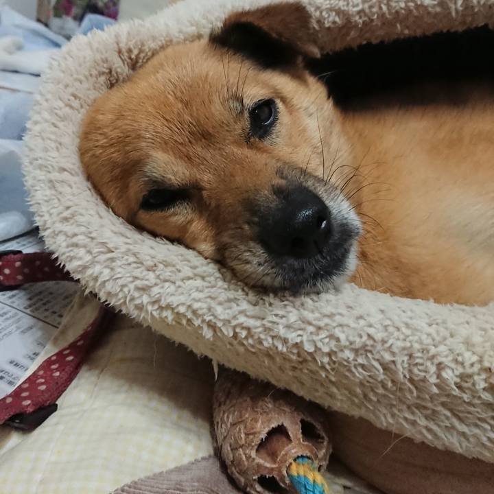 Ba4bc70d 6d83 46f2 8a2e 5d4aaa1375e6 1572614119073