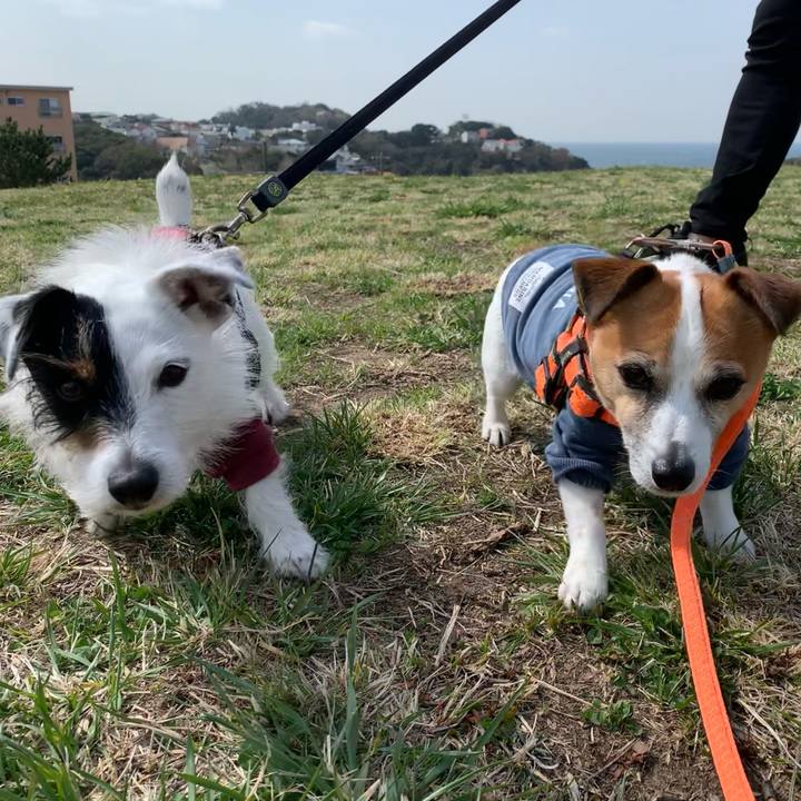 Ba4bef36 b9a1 49f2 b49b 2b19c6aee57d 1616120874951