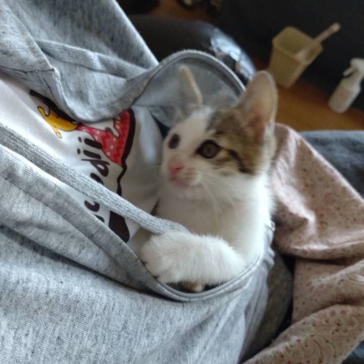 Ba4bf389 7b98 471f bdb4 3f704439d283 1632530491187