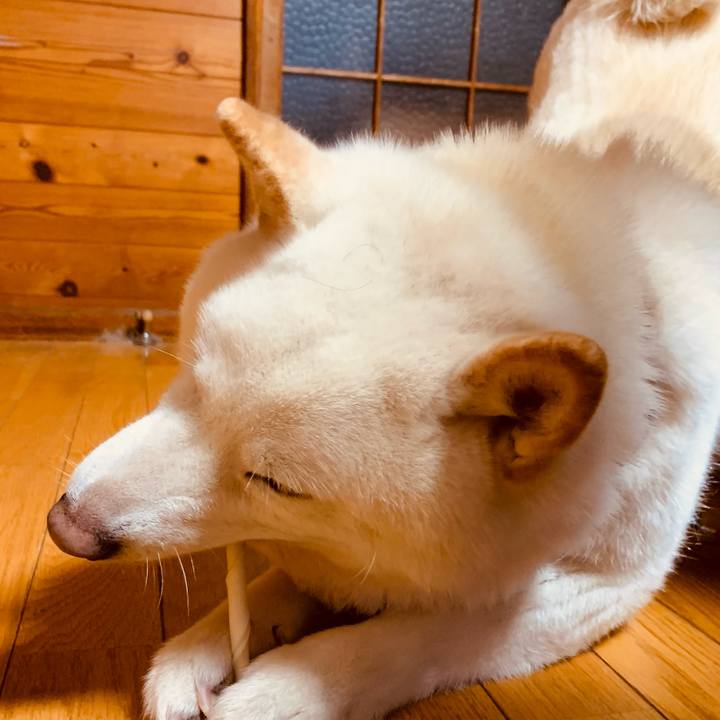 Ba4c0bb0 a1fb 4405 941a ab2df38d3cc6 1612250330605