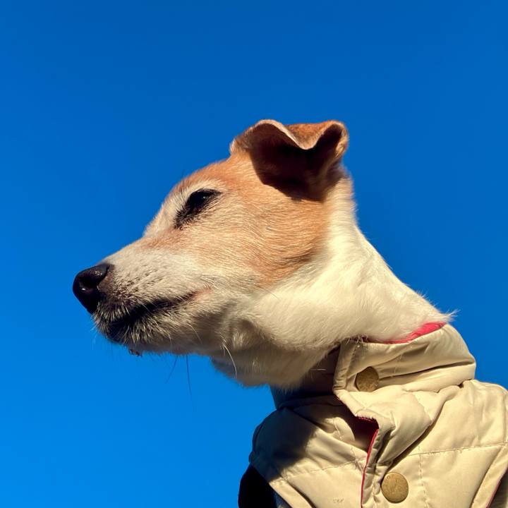 Ba4c1a27 4912 4a62 9165 83b664215352 1704587342948