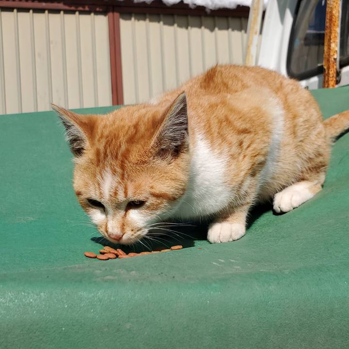 Ba4c35ae f8fb 4952 85f4 6f01baf95719 1711199194449