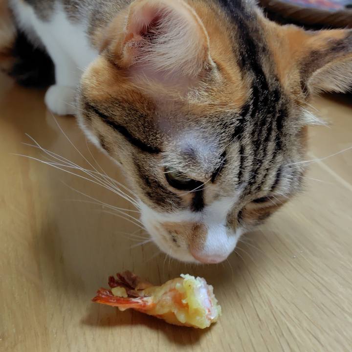 Ba4c37e6 c27e 40b6 a9c7 ec1806c1ba07 1767181944696