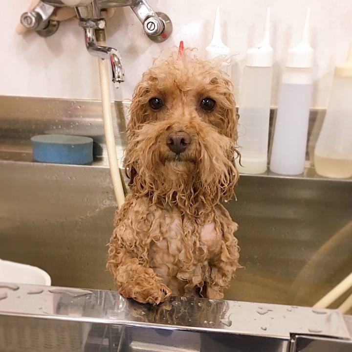 Ba4c4753 b3fa 4a0a b87b 695573a8673c 1631361020515