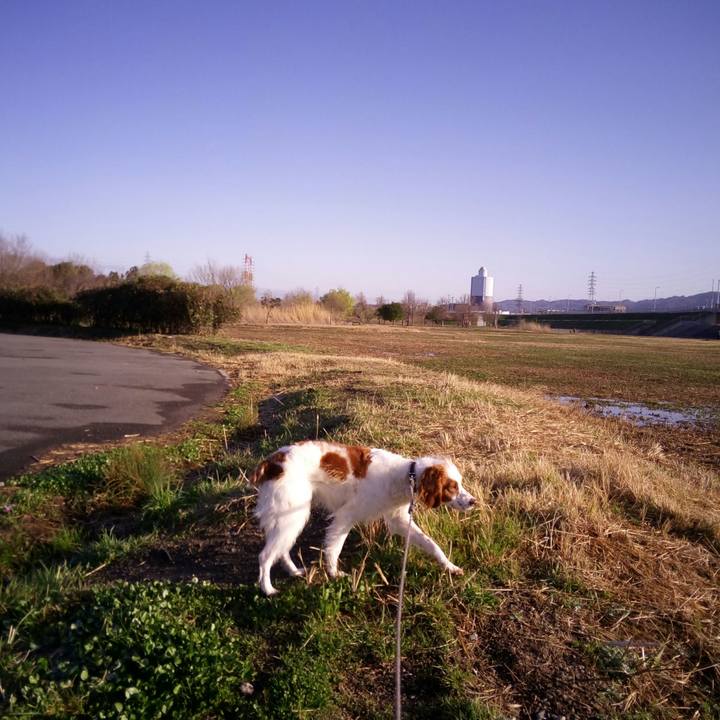 Ba4c67fd c8d5 4bf4 9474 b0fe70628aa9 1521244717725