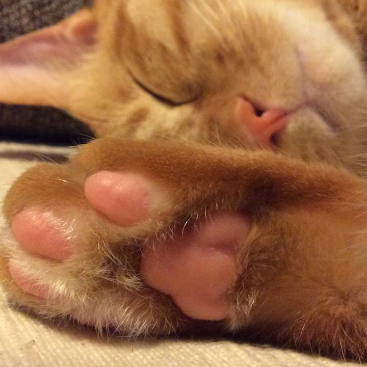 Ba4c754f e529 4e2f a99e 7a75c575cc18 1509969049767