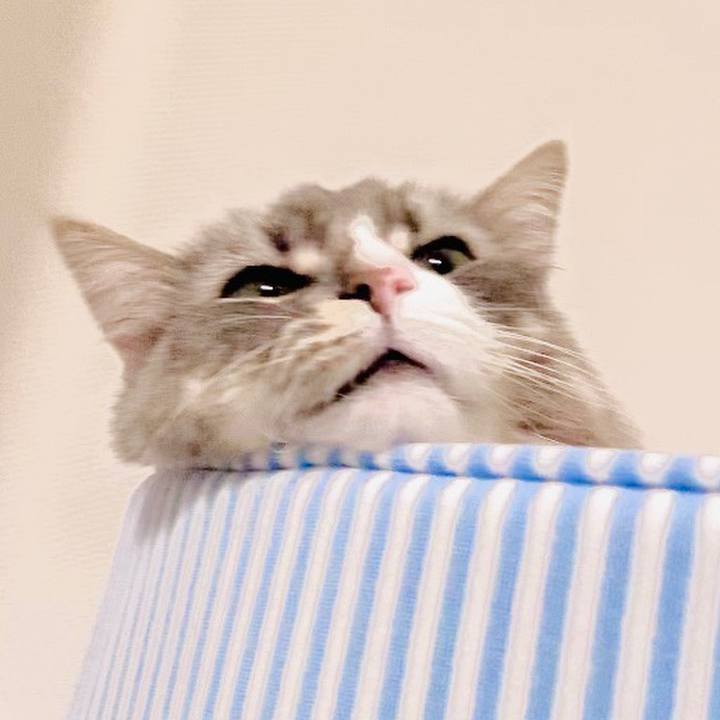 Ba4ca16a 214c 498e ab06 d6cc25737d08 1589305590775