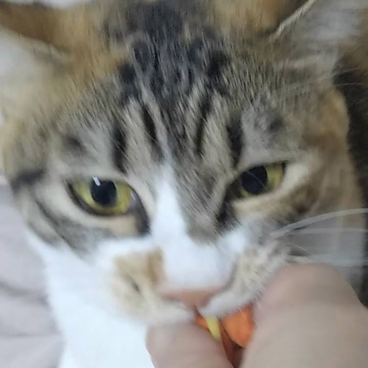 Ba4cac09 e50a 4989 a169 187cf61a0d7c 1687753245225