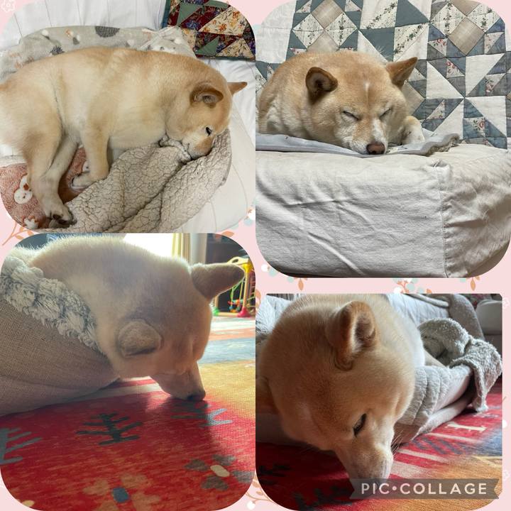 Ba4cde87 b6e2 4b6d a120 fc0c628264ce 1742091426705