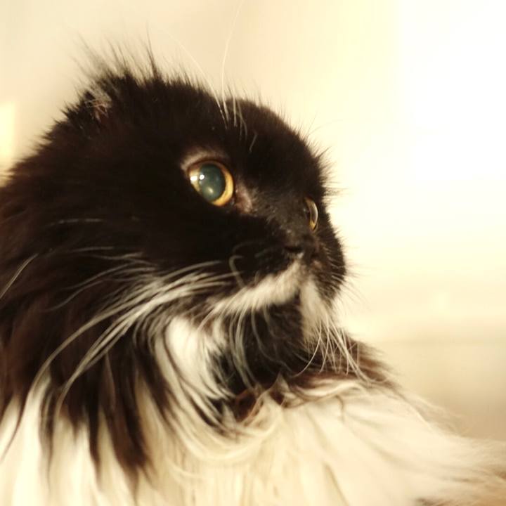 Ba4d79b8 046f 4c21 a056 f19dd52eca5c 1582538717189