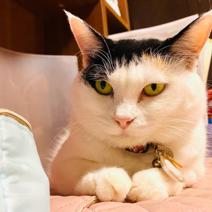 Ba4dd0c4 b3f4 454b 8eb2 a904501bb1fd 1724921560836