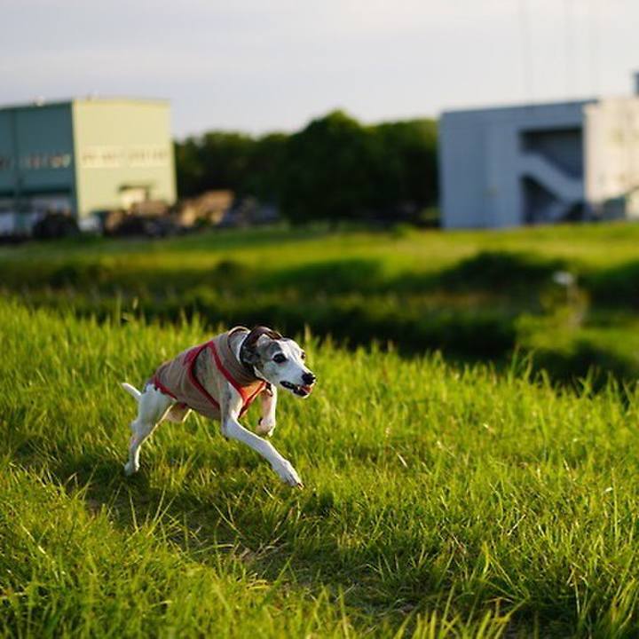 Ba4dd701 1c55 493d a938 3980ab3df16f 1538401898587