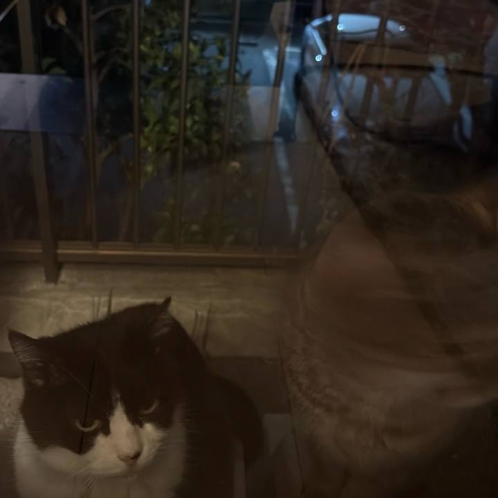 Ba4def92 40c0 4084 93af 6a1c3a00fec8 1774796423870