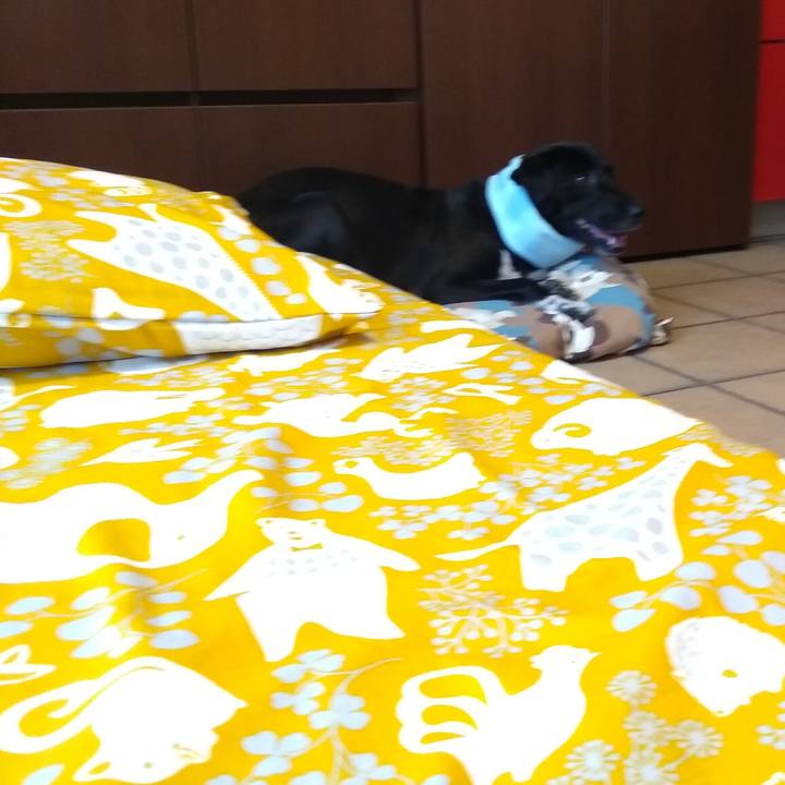 Ba4df05f e331 40e9 ab7a 18cf76276adc 1593213778574